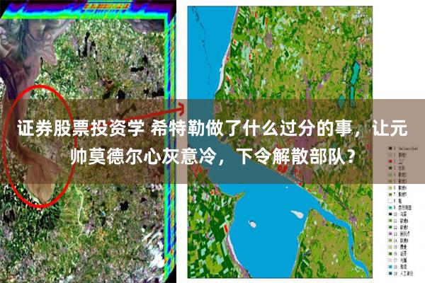 证券股票投资学 希特勒做了什么过分的事，让元帅莫德尔心灰意冷，下令解散部队？