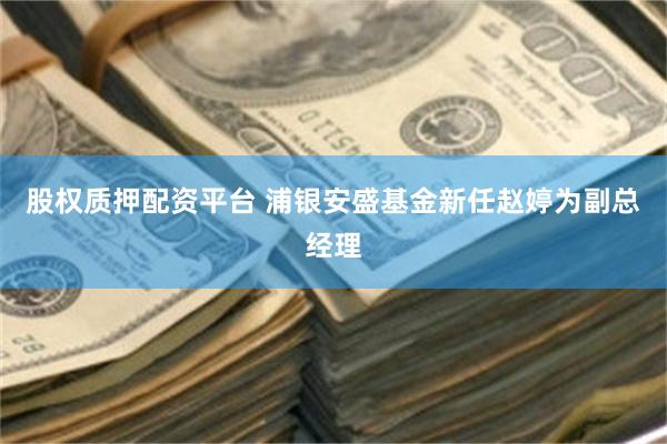 股权质押配资平台 浦银安盛基金新任赵婷为副总经理
