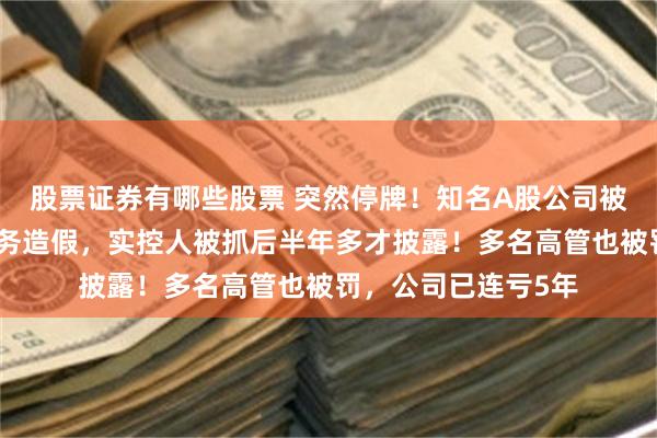 股票证券有哪些股票 突然停牌！知名A股公司被重罚：连续多年财务造假，实控人被抓后半年多才披露！多名高管也被罚，公司已连亏5年