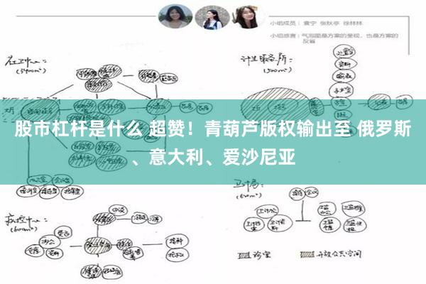 股市杠杆是什么 超赞！青葫芦版权输出至 俄罗斯、意大利、爱沙尼亚