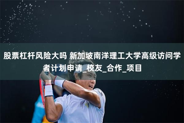 股票杠杆风险大吗 新加坡南洋理工大学高级访问学者计划申请_校友_合作_项目