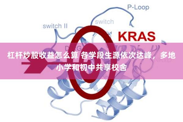 杠杆炒股收益怎么算 各学段生源依次达峰，多地小学和初中共享校舍