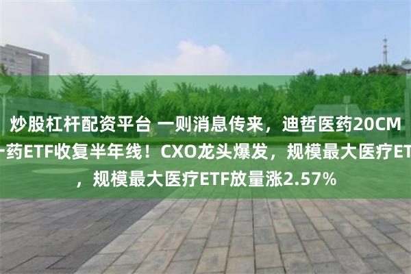 炒股杠杆配资平台 一则消息传来，迪哲医药20CM涨停，场内唯一药ETF收复半年线！CXO龙头爆发，规模最大医疗ETF放量涨2.57%