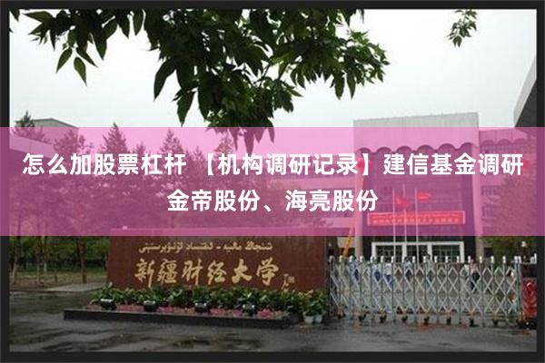 怎么加股票杠杆 【机构调研记录】建信基金调研金帝股份、海亮股份
