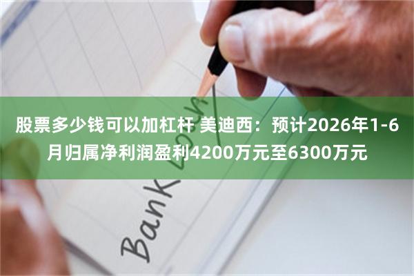 股票多少钱可以加杠杆 美迪西：预计2026年1-6月归属净利润盈利4200万元至6300万元