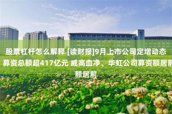 股票杠杆怎么解释 [读财报]9月上市公司定增动态: 募资总额超417亿元 威高血净、华虹公司募资额居前